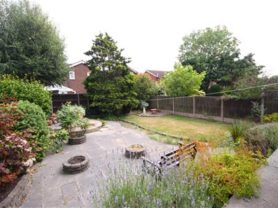 Picture 22